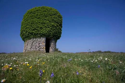 The ivy covered Baker's Mill at La Pipeterie, the surviving rebel mill of 1797, Little Sark, Channel Islands
