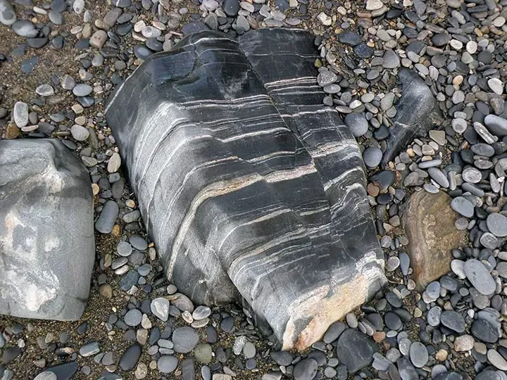 A grey boulder with strong white banding on a pebble beach on Sark, Channel Islands
