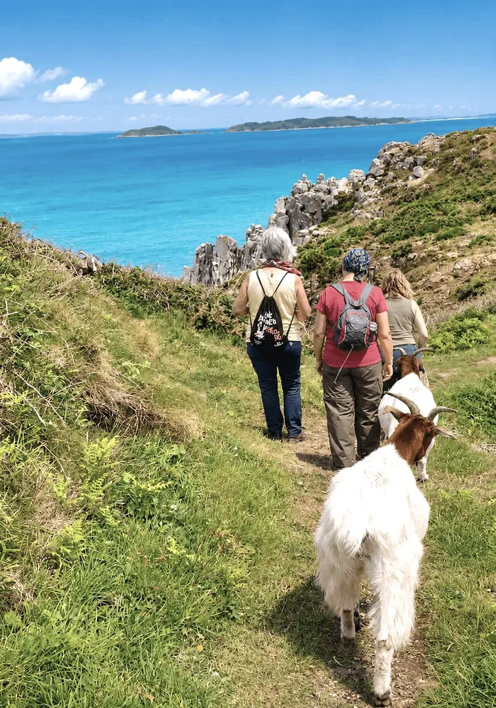 Guests walking a coastal path above the sea on Sark