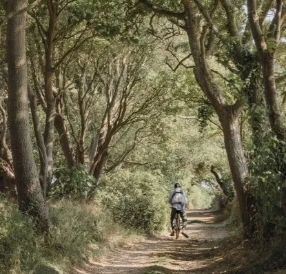 A cyclist riding through a tree-lined lane on Sark, Channel Islands