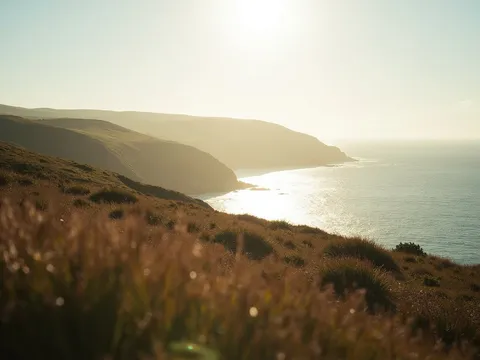 Evening light on the Sark coastline in early autumn