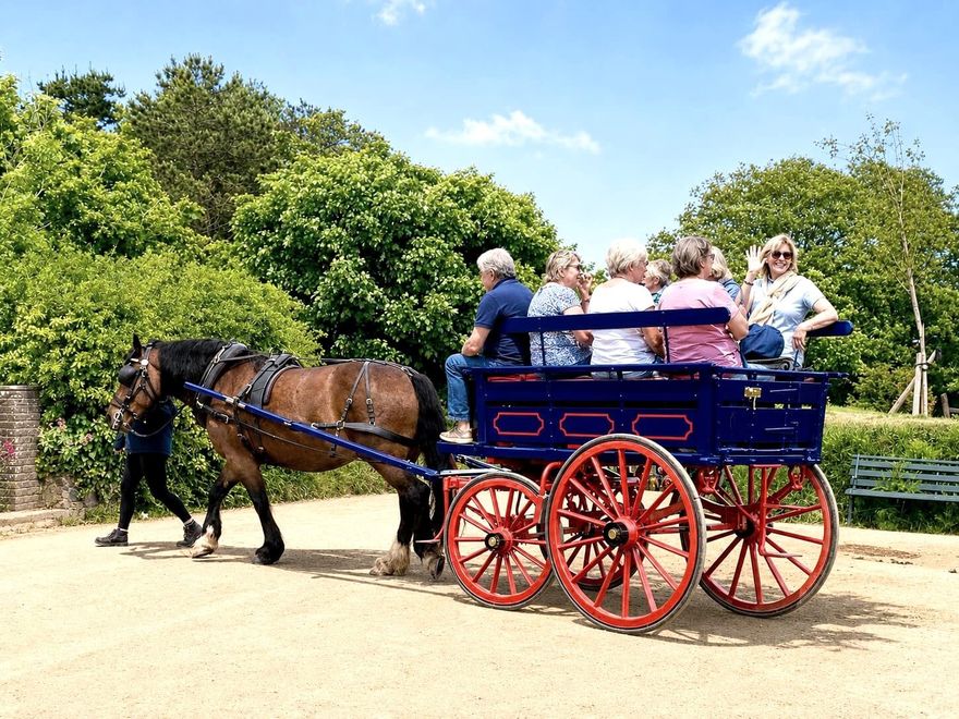 Guests on a horse and carriage ride on the car-free island of Sark