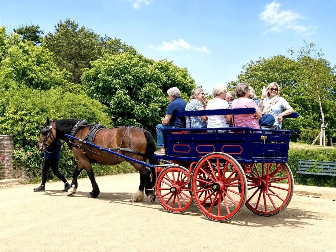 Guests sharing a horse-drawn carriage ride together on Sark
