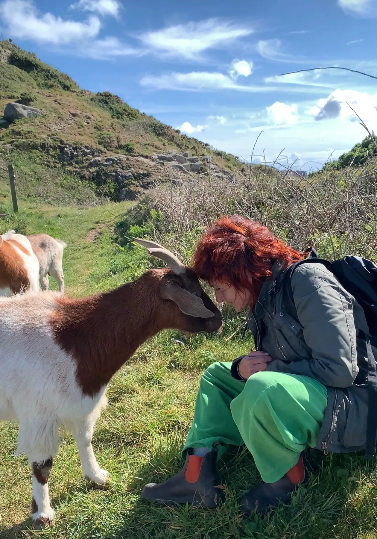 A guest greeting one of Sark's goats on a quiet car-free lane on Sark, Channel Islands