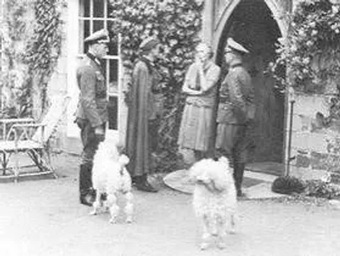 Two men in German military uniform and two women in civilian dress outside an arched doorway, with two dogs in the foreground, on occupied Sark, Channel Islands