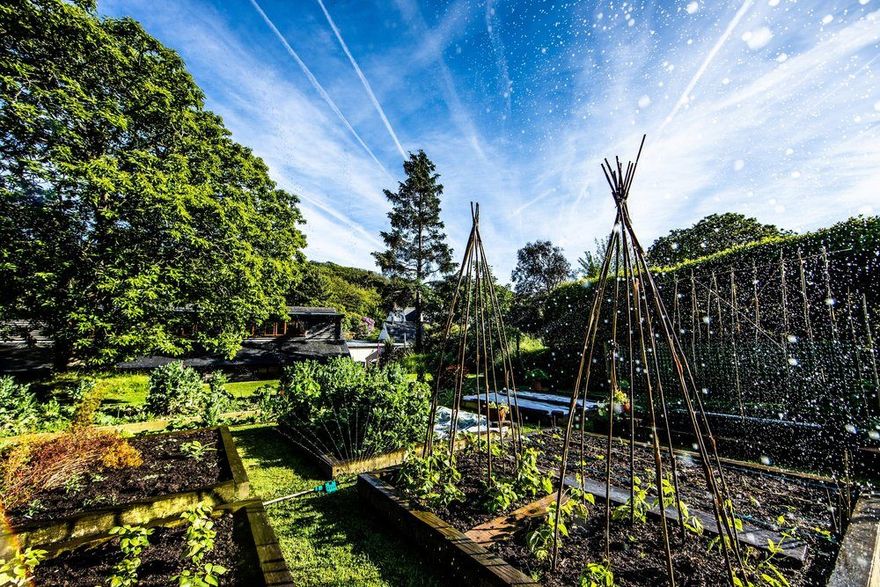 The permaculture vegetable garden at the retreat house on Sark
