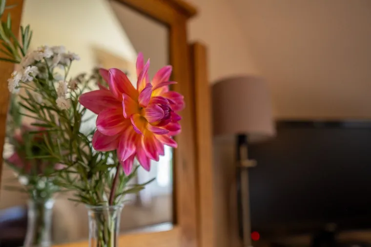 Fresh flowers in the Sea Holly room at the retreat house on Sark