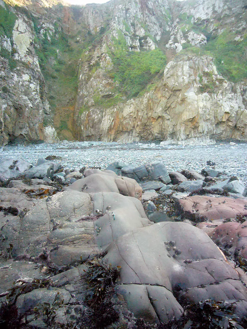 A quiet shingle cove with seaweed covered rock slabs below high cliffs on Sark, Channel Islands