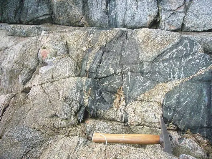 A grey green gneiss face threaded with pale veins, with a geologist's hammer for scale, Sark, Channel Islands